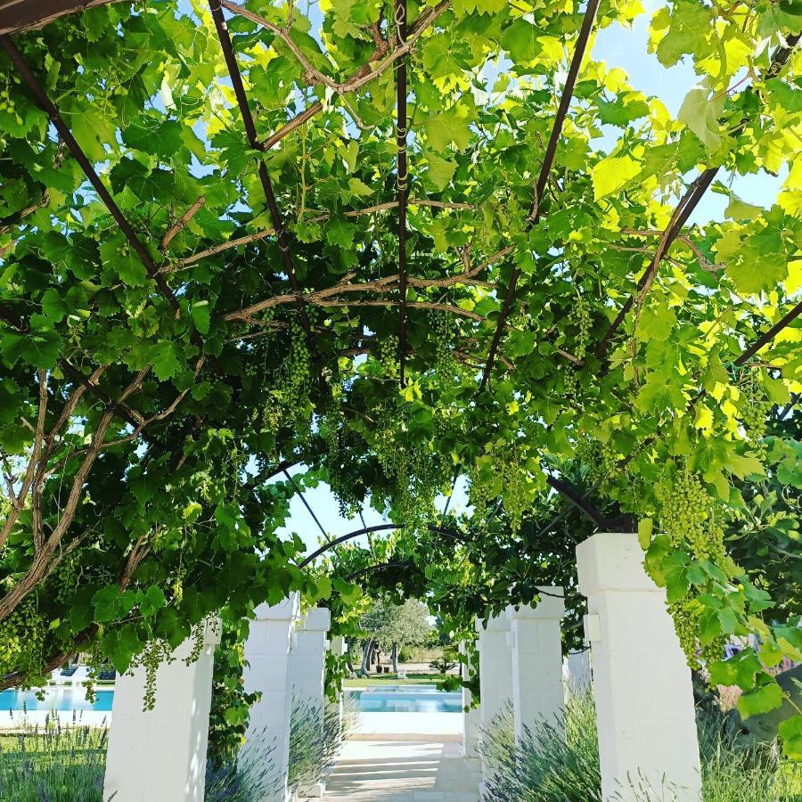 Masseria Almadava Поліньяно-а-Маре Екстер'єр фото